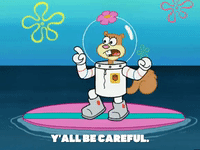 season 6 GIF by SpongeBob SquarePants