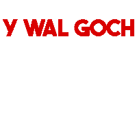Gareth Bale Football Sticker