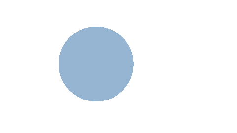 Switch Sticker by Kraus & Naimer