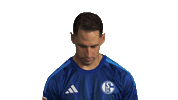 Look Up Schalke 04 Sticker by Bundesliga