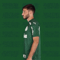Puma Looking GIF by SE Palmeiras
