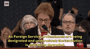 news impeachment impeachment inquiry impeachment hearings day two marie yovanovitch GIF