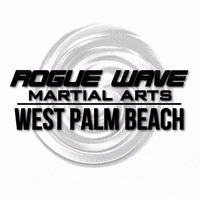 RougeWavePalmBeach roguewave GIF