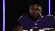 Charm City Football GIF by Baltimore Ravens