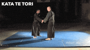 martial arts mma GIF by AKBAN Academy