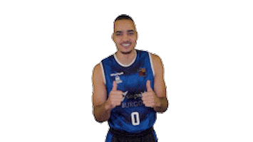 Obi Echenoya Sticker by San Pablo Burgos