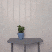GIF by MLB