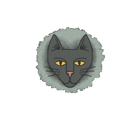 Black Cat Sticker