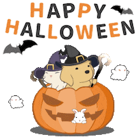 Halloween Pumpkin Sticker by kesanitw