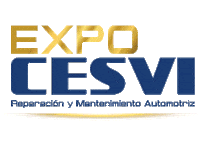 cesvimexico cesvi cesvimexico Sticker