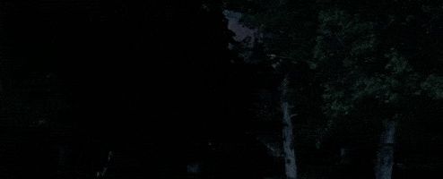 GIF by Crouching Tiger, Hidden Dragon 