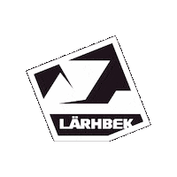 Send It Mountain Bike Sticker by Larhbek