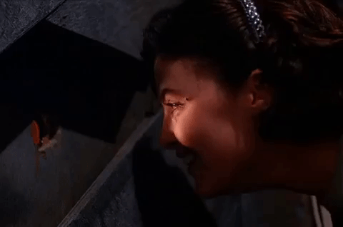 season 1 episode 6 GIF by Twin Peaks on Showtime