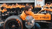 Lando Norris GIF by McLaren