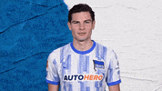 Jurgen Ekkelenkamp Football GIF by Hertha BSC