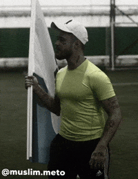 Metospor GIF