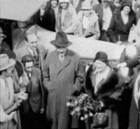albert einstein GIF