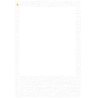 PettyBrunetty camera picture click simple Sticker