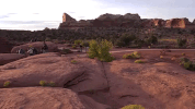 utah GIF