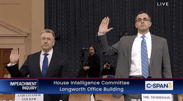 news impeachment impeachment inquiry kurt volker tim morrison GIF