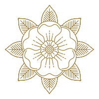 Wake Forest Wfu Sticker by Wake Forest University