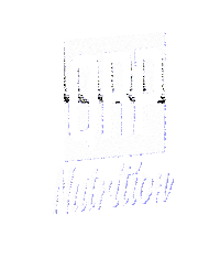 qrpnutrition sport logo fitness gym Sticker