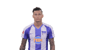 Davie Selke Signature Move Sticker by Hertha BSC