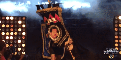 GIF by Lucha Libre AAA