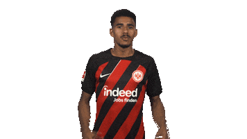 Eintracht Frankfurt Wow Sticker by Bundesliga