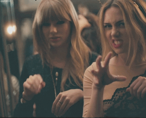 taylor swift cat GIF