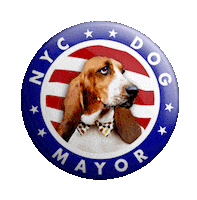 Vote Sally Long Dog Sticker
