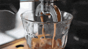 GIF by Wirecutter