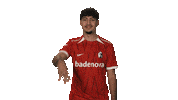 Sc Freiburg Vbl Sticker by Bundesliga