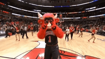 benny the bull nba GIF by Chicago Bulls