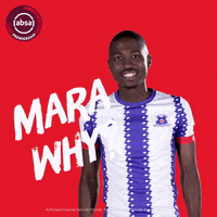 south african soccer GIF