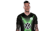 Daniel Ginczek Sticker Sticker by VfL Wolfsburg