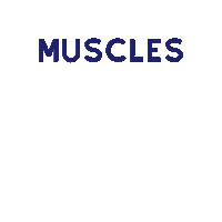 Fitness Fitmom Sticker by MummyFIT UK