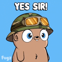 Saluting Aye Aye GIF by Fugz Official