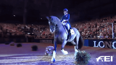 power horse GIF by FEI Global