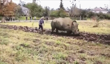 russia hunting GIF