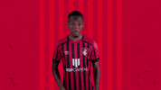 Football Swipe Up GIF by AFC Bournemouth