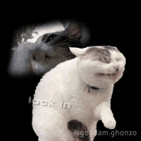 Lock In Wtf GIF