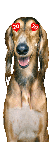 20Let Sticker by Super zoo