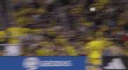 Regular Season Wow GIF by Major League Soccer