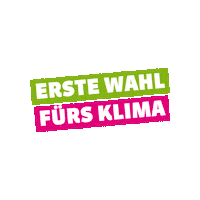 Climate Klimakrise Sticker by GrueneBE