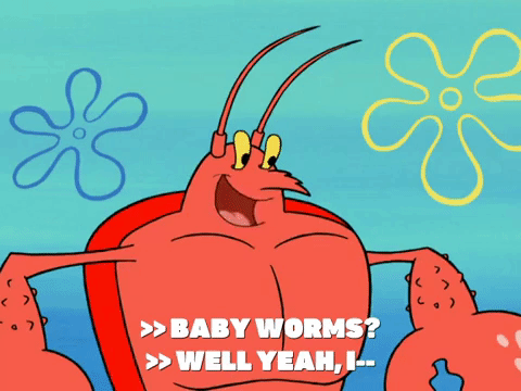 season 6 pet or pets GIF by SpongeBob SquarePants