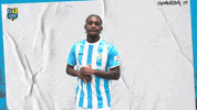 Football Tor GIF by ChemnitzerFC