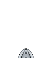 Surf Surfing Sticker by Tige Boats, Inc.