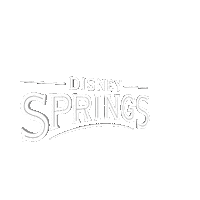Walt Disney World Orlando Sticker by Disney Springs