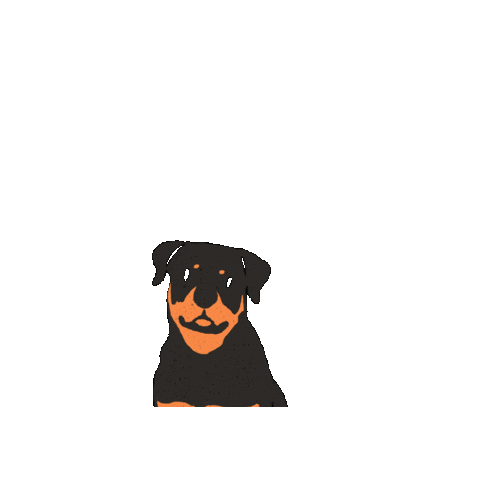 AlimentoWoof giphygifmaker Sticker